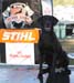 STIHL_0091